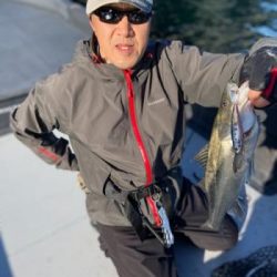 シーマジカル 釣果