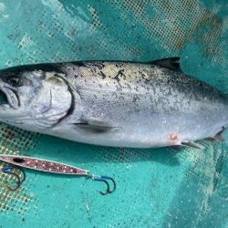 広進丸 釣果