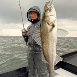 シーマジカル 釣果