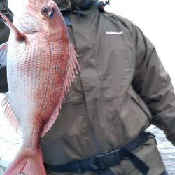 遊漁船 新鋭丸 釣果