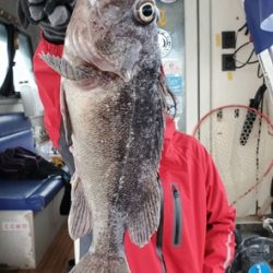 遊漁船 ニライカナイ 釣果