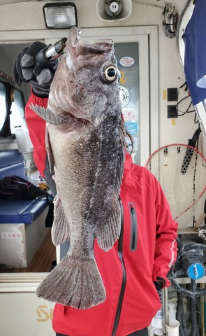 遊漁船 ニライカナイ 釣果