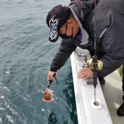 遊漁船 ニライカナイ 釣果