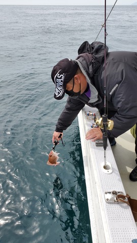 遊漁船 ニライカナイ 釣果