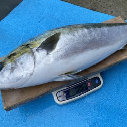 まるいち丸 ZERO-1 釣果