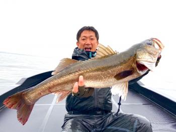 シーマジカル 釣果