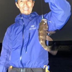 シーマジカル 釣果