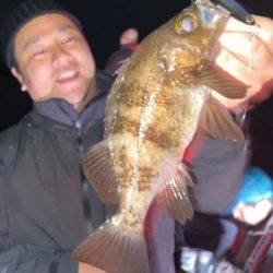 シーマジカル 釣果