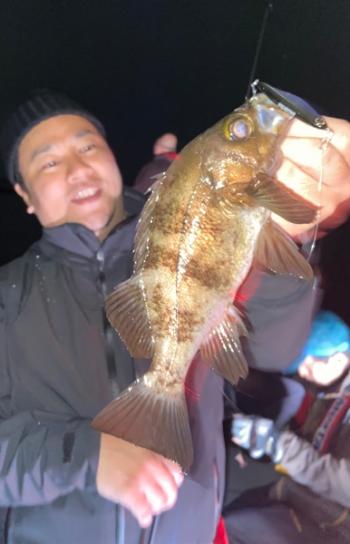 シーマジカル 釣果