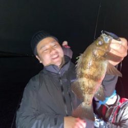 シーマジカル 釣果