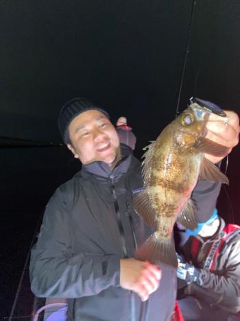 シーマジカル 釣果