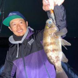 シーマジカル 釣果