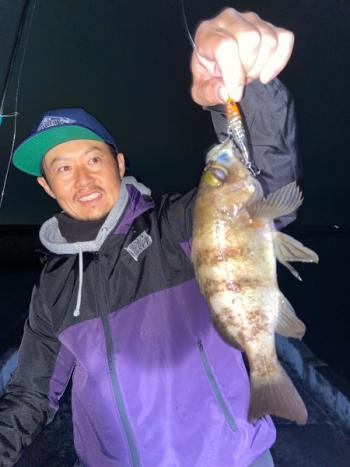 シーマジカル 釣果