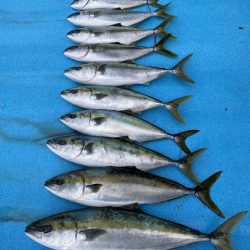 まるいち丸 ZERO-1 釣果