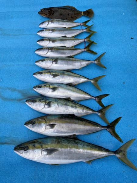 まるいち丸 ZERO-1 釣果