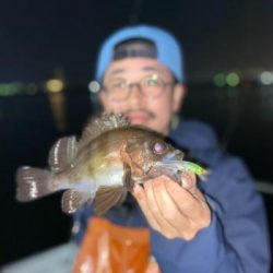 シーマジカル 釣果