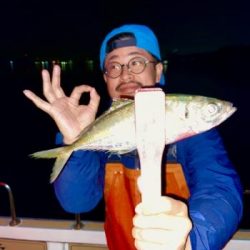 シーマジカル 釣果