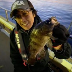 シーマジカル 釣果