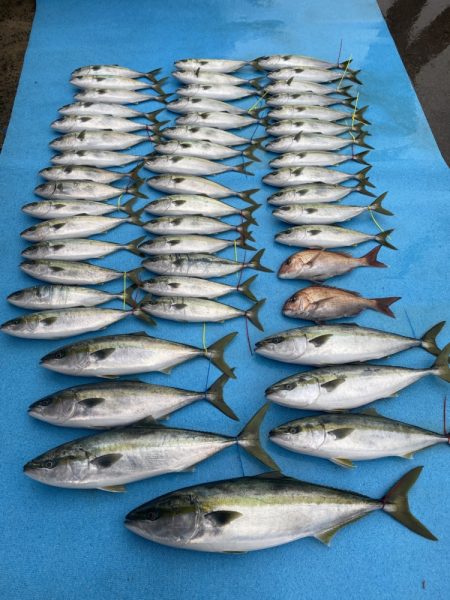 まるいち丸 ZERO-1 釣果