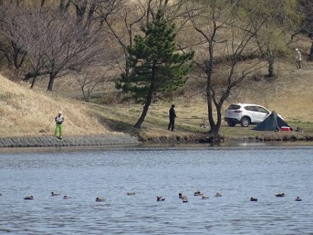 志高湖フィッシング 釣果