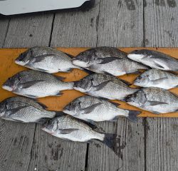 バラモン1号 釣果