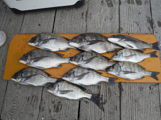 バラモン1号 釣果