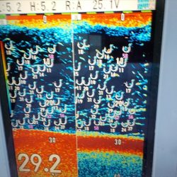 HARUKA丸 はるかまる 釣果