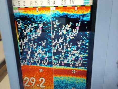 HARUKA丸 はるかまる 釣果
