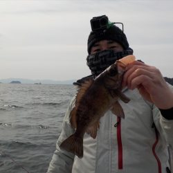 ＨＡＲＵＫＡ丸　はるかまる 釣果