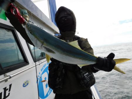 ジギング船 BLUEWATER 釣果