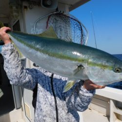 ジギング船 BLUEWATER 釣果