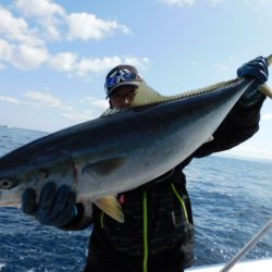 ジギング船 BLUEWATER 釣果