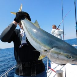 ジギング船 BLUEWATER 釣果