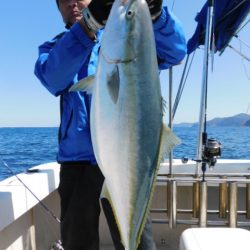 ジギング船 BLUEWATER 釣果