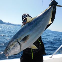 ジギング船 BLUEWATER 釣果