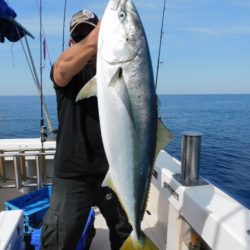 ジギング船 BLUEWATER 釣果