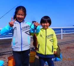 鹿島港魚釣園 釣果