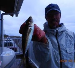 鹿島港魚釣園 釣果