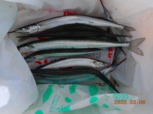 鹿島港魚釣園 釣果