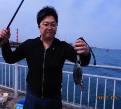鹿島港魚釣園 釣果