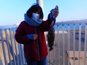 鹿島港魚釣園 釣果