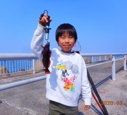 鹿島港魚釣園 釣果
