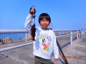 鹿島港魚釣園 釣果