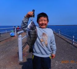 鹿島港魚釣園 釣果