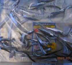 鹿島港魚釣園 釣果