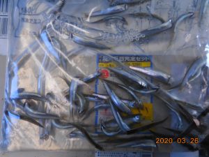 鹿島港魚釣園 釣果