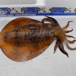 フィッシングボート空風(そらかぜ) 釣果