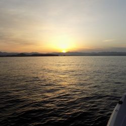 フィッシングボート空風(そらかぜ) 釣果