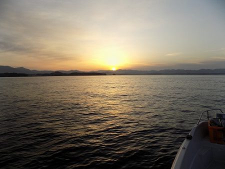 フィッシングボート空風(そらかぜ) 釣果