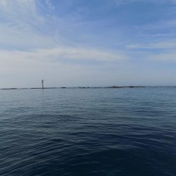 フィッシングボート空風(そらかぜ) 釣果